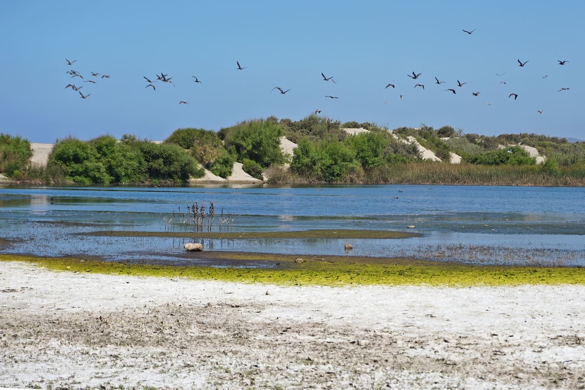 Impulsa protección de La Lagunita