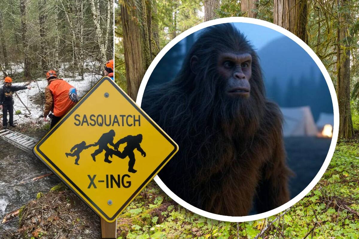 Encuentran muertos a dos hombres que buscaban a Pie Grande en un bosque de EU