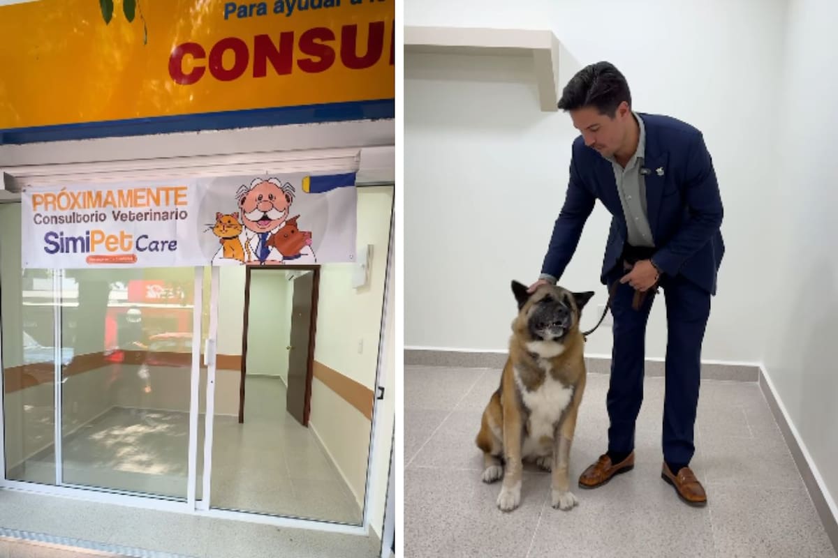 Simi Pet Care: ¿Qué ofrecerá el primer consultorio del Dr. Simi?