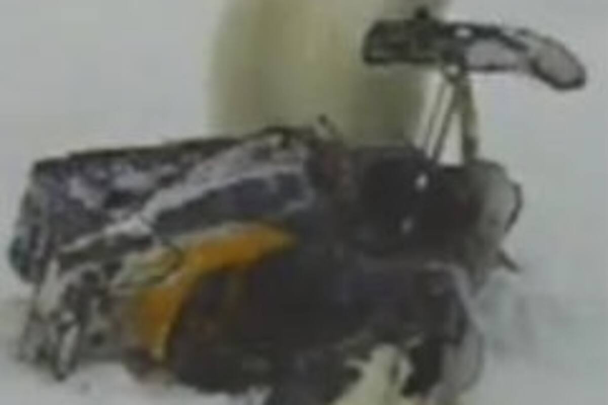 Oso polar que intenta "robar" moto de nieve