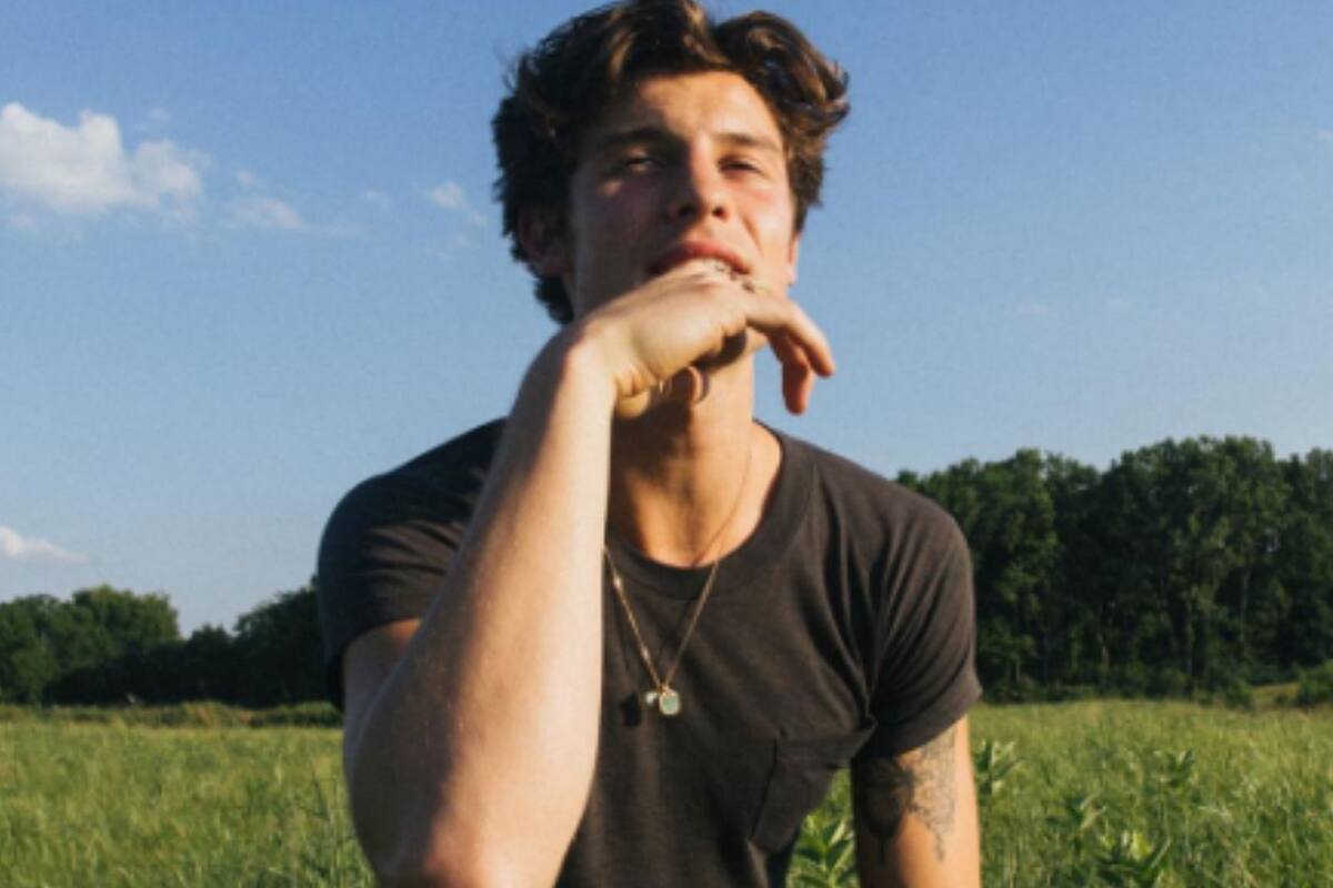 Shawn Mendes pausa su gira mundial: "Por salud mental"
