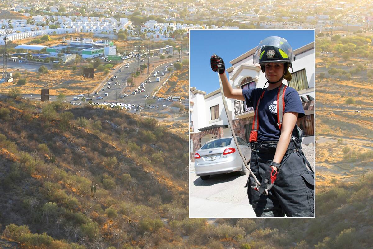 ¡Cuidado! Por lluvias salen víboras y culebras de madrigueras