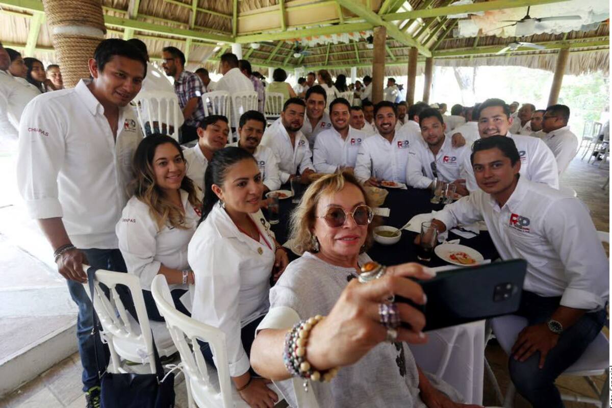 Redes Sociales Progresistas, ligado a Elba Esther, a punto de ser partido