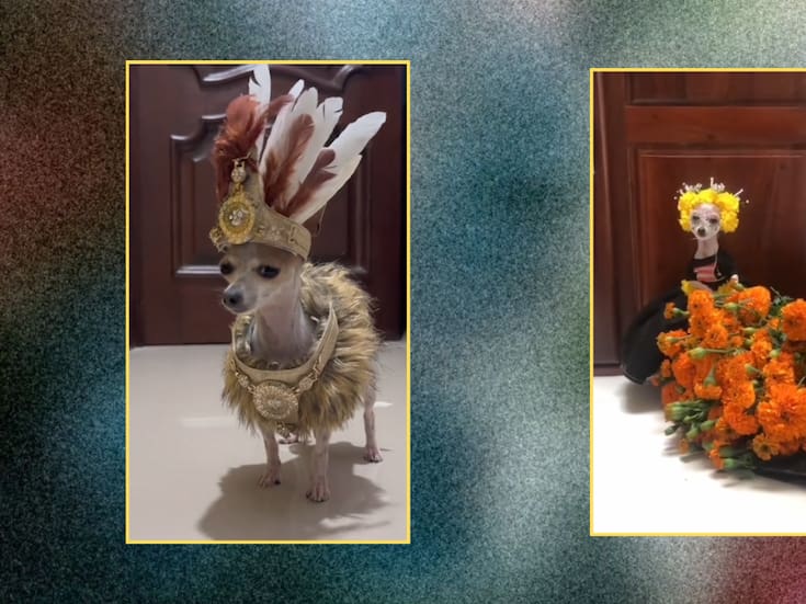 Chihuahua se vuelve viral por modelar atuendos prehispánicos como todo un tlatoani