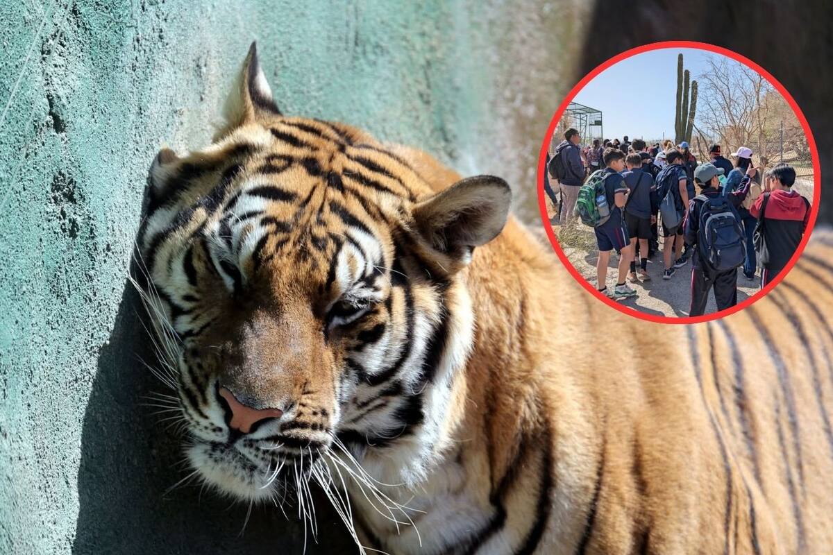 ¡Invitan a visitar el Centro Ecológico de Sonora en Semana Santa! Conoce los costos y horarios de entrada