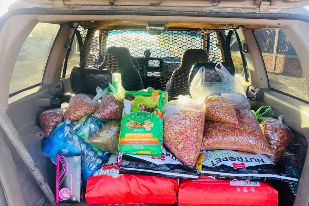 Convocan al “Gran Croquetón” para reunir una tonelada de alimento y apoyar a refugios animales