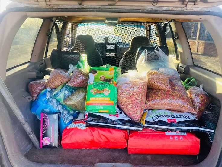 Convocan al “Gran Croquetón” para reunir una tonelada de alimento y apoyar a refugios animales