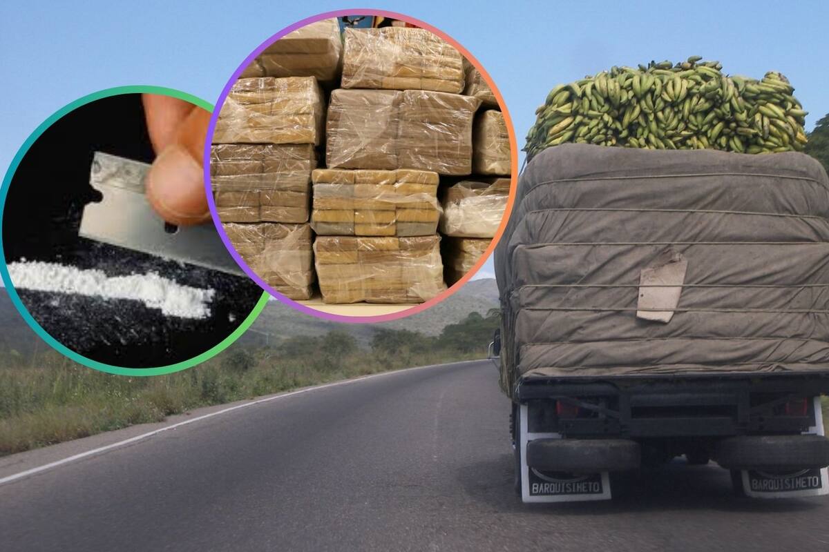 Tonelada y media de bananos contaminados con cocaína son decomisados en Ecuador
