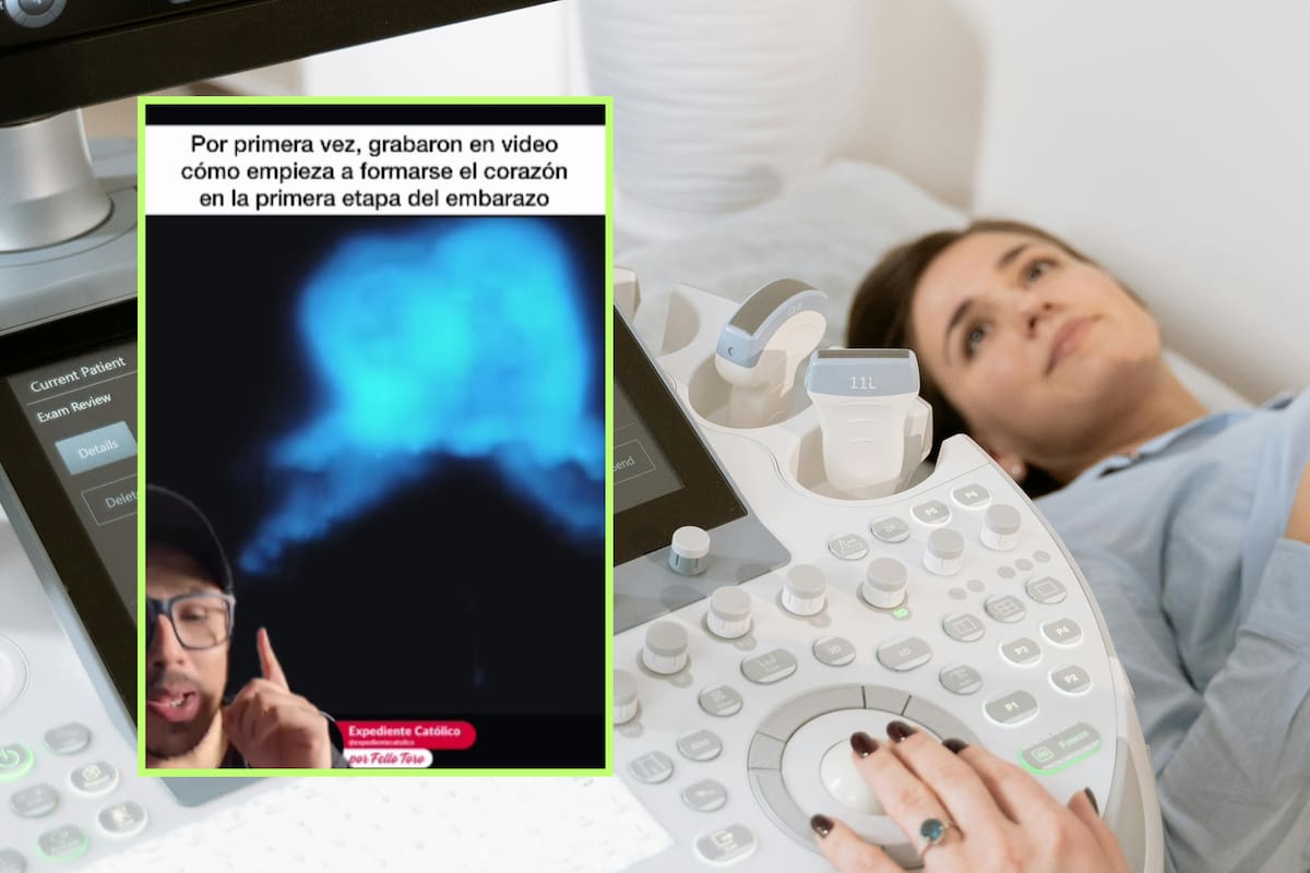 Hito científico: Graban por primera vez el desarrollo del corazón humano en etapas iniciales del embarazo