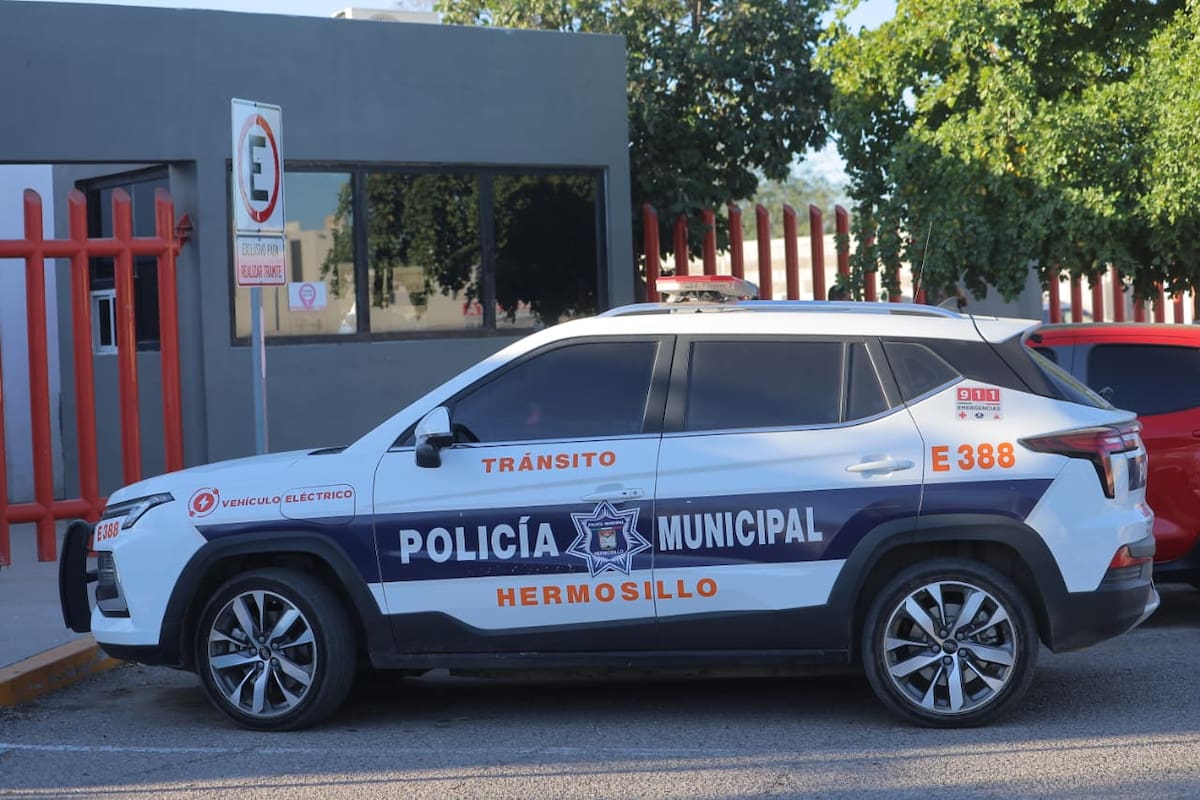 Les decomisaron un fusil calibre 7.62 y una pistola .380 durante un operativo matutino. Foto: GH