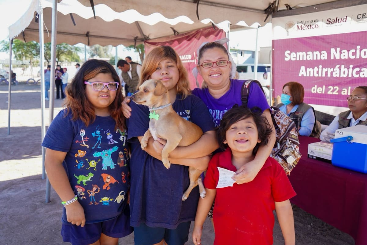 Más de 1.1 millones de vacunaciones y 96 mil 500 esterilizaciones caninas y felinas en lo que va de la administración. Foto: Cortesía