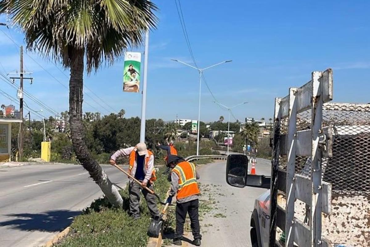 Rosarito se pone “guapo”, intensifican limpieza, alumbrado y bacheo