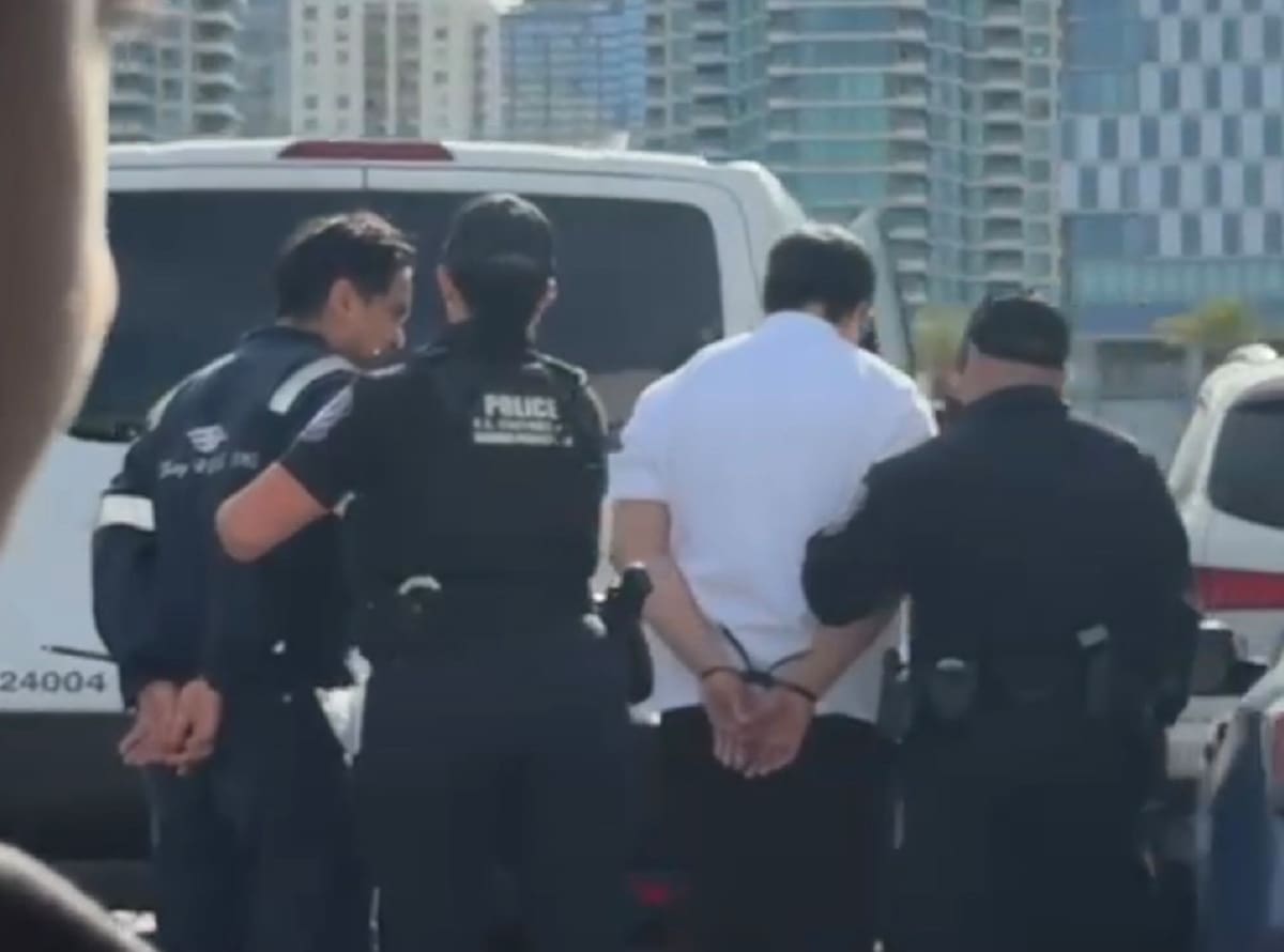 Los presuntos arrestos fueron captados en un video por parte de una de las viajeras de la embarcación que ancló en el puerto de San Diego. Foto: Cortesía