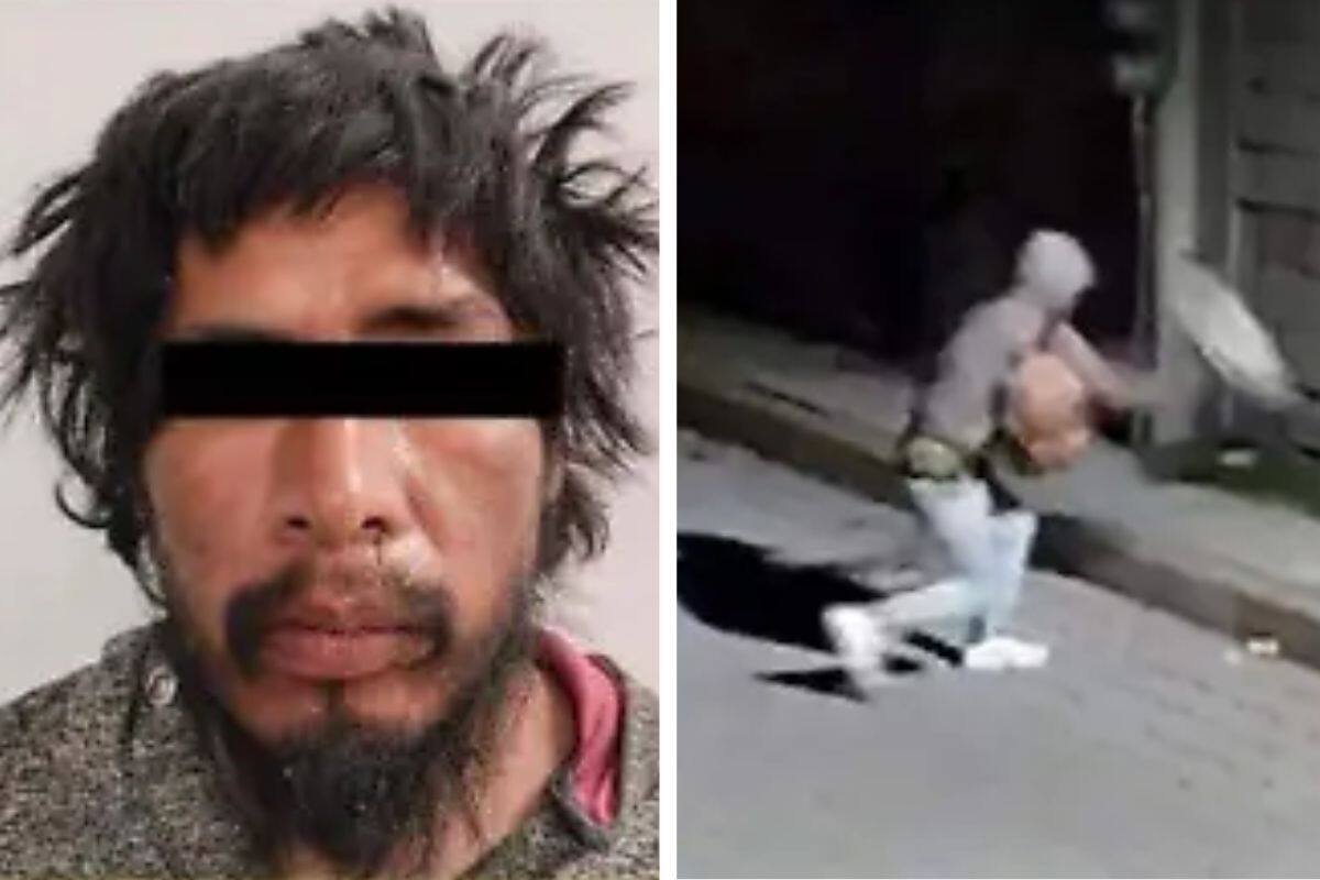 Dictan prisión preventiva a Luis ‘N’ por arrojar una piedra al perro ‘Huesitos’ mientras dormía