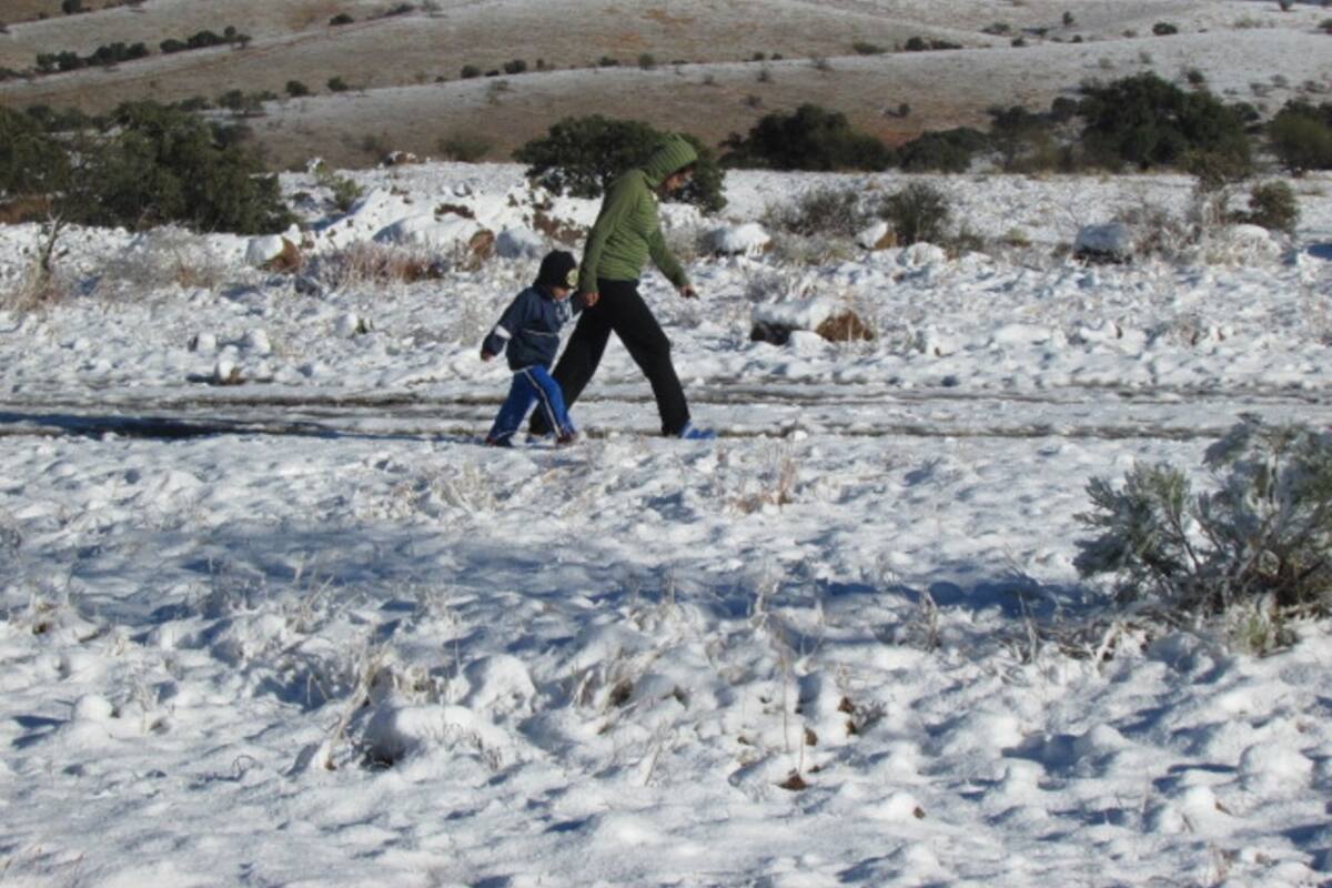 Prevén mínimas de -10 a -5 grados con nevadas en las sierras de Sonora, Chihuahua y Durango