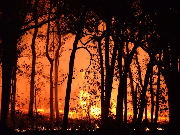 Incendios en Hawái, sequías en México y calor extremo en Europa: señales de que el Acuerdo de París no está funcionando lo suficiente