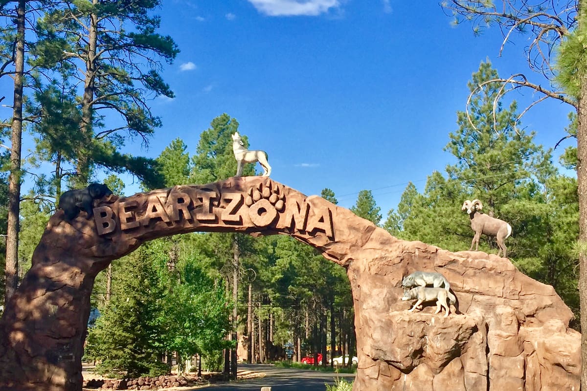 Bearizona Wildlife Park en Arizona: la escapada de verano perfecta para toda la familia