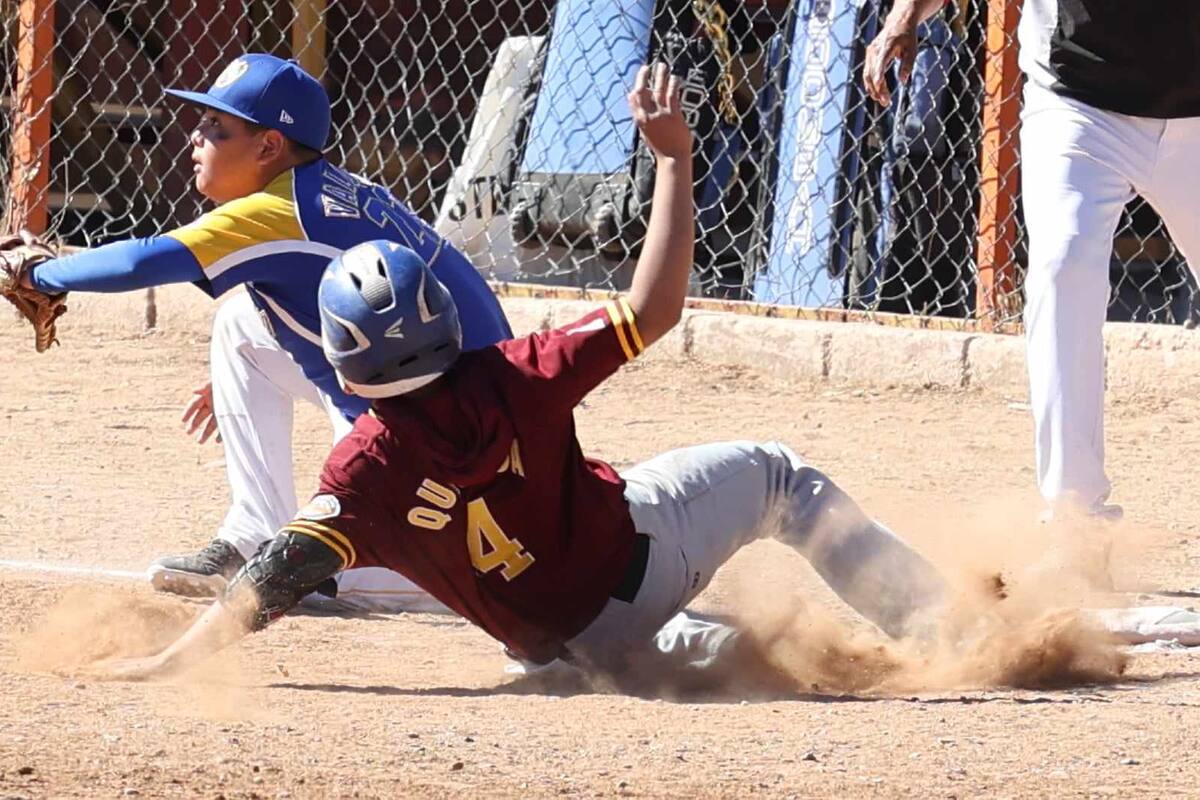 Listos los 15 equipos del Campeonato Estatal de Beisbol Infantil
