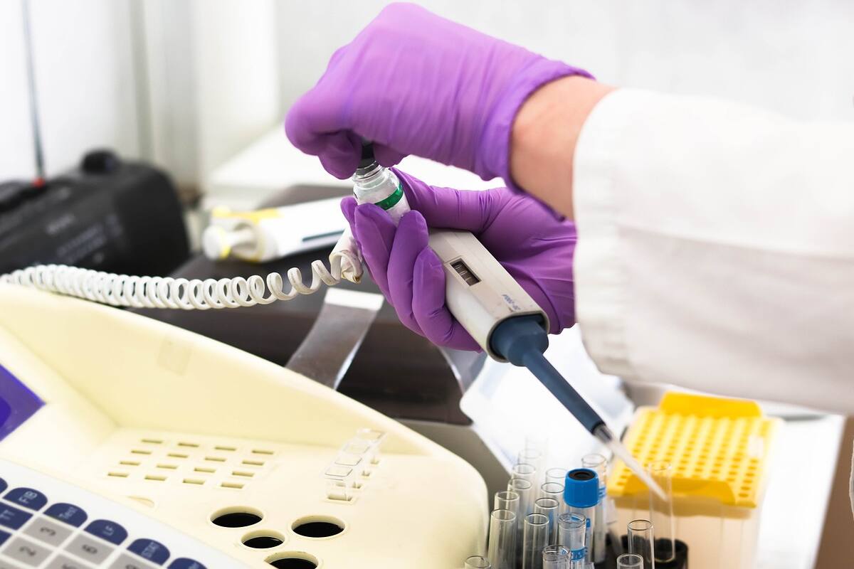 Exploración del potencial de la sermorelina en diversos estudios