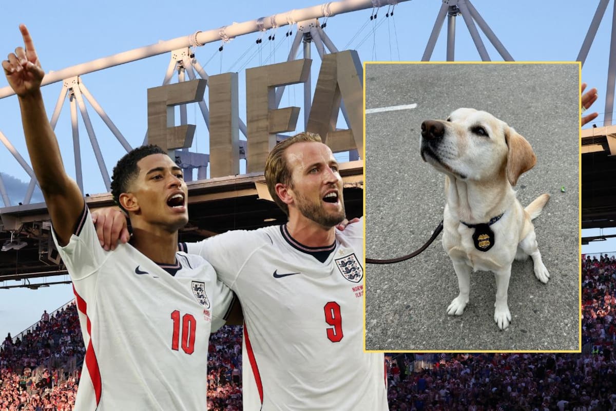 Kali, la labradora de cinco años que detecta explosivos y armas, forma parte del operativo canino que protege estadios y accesos durante el Mundial 2026