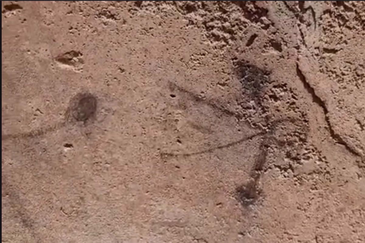 Descubren dibujos realizados por niños en paredes de Pompeya