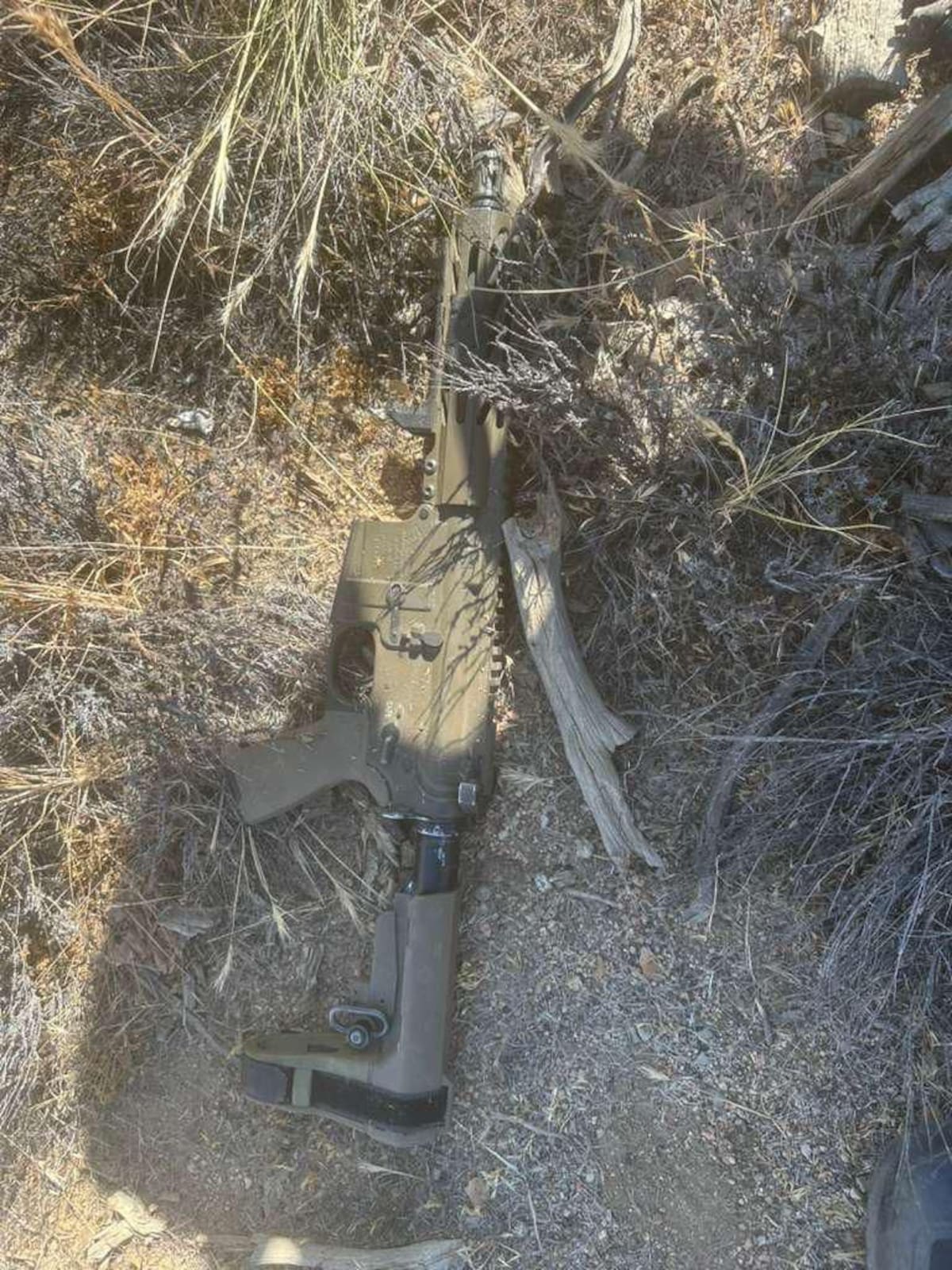 Un presunto integrante de una célula criminal fue detenido tras un enfrentamiento en Laguna Hanson, donde autoridades aseguraron armas, cartuchos y equipo táctico. Foto: Cortesía.