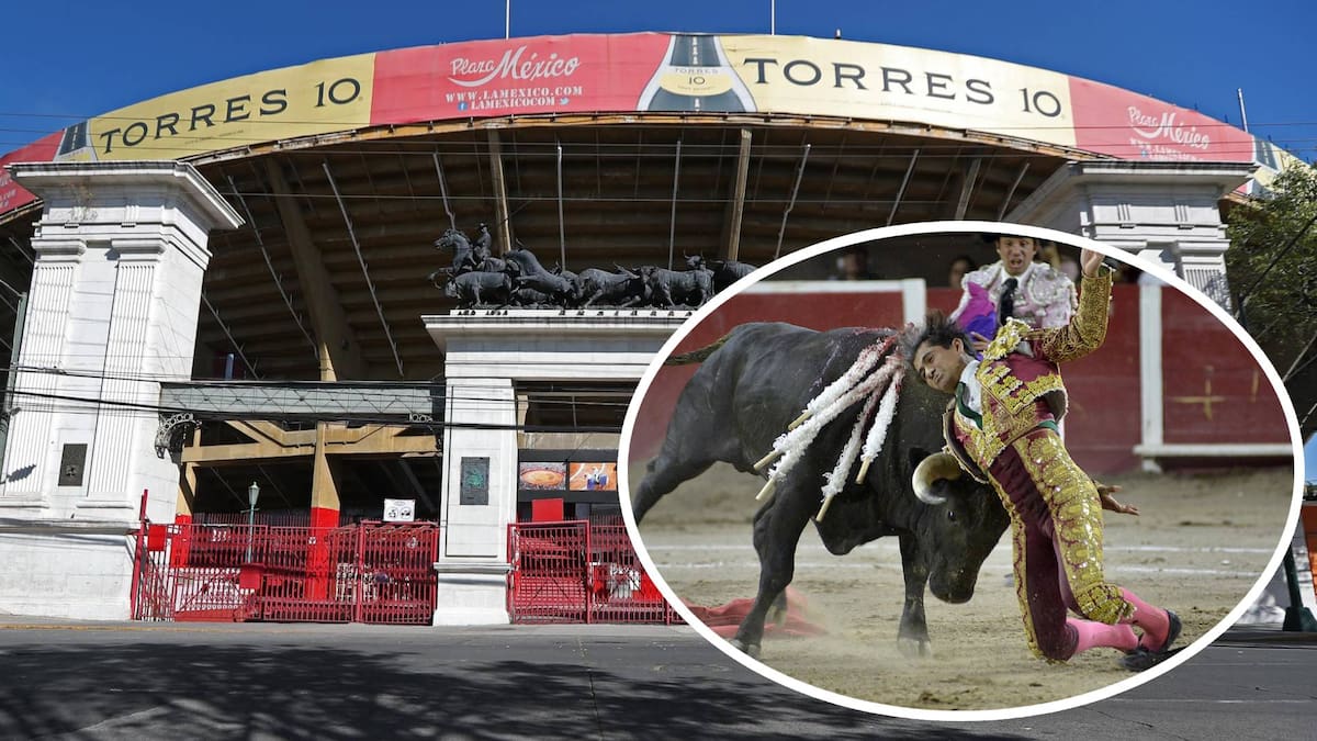 Los manifestantes expresaron su rechazo con consignas como "¡Torero criminal, al código penal!" y "¡México sin tauromaquia!". Foto: EFE