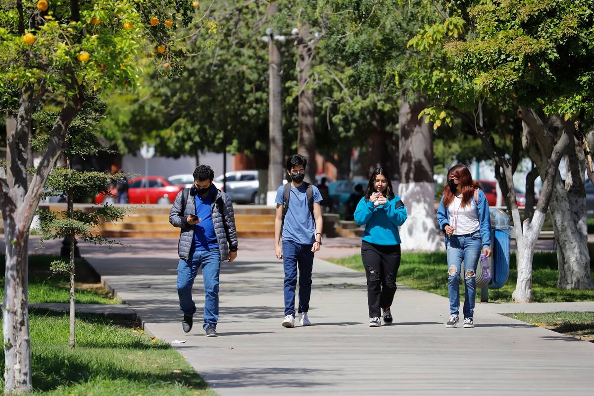 Aumenta un 38% los aspirantes a ser “búhos” de la Unison