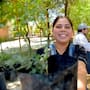 Árboles que requieren menos agua y ayudan a generar sombra llegarán a más hogares de Hermosillo con una nueva entrega gratuita de nueve especies nativas este viernes en el Vivero Municipal