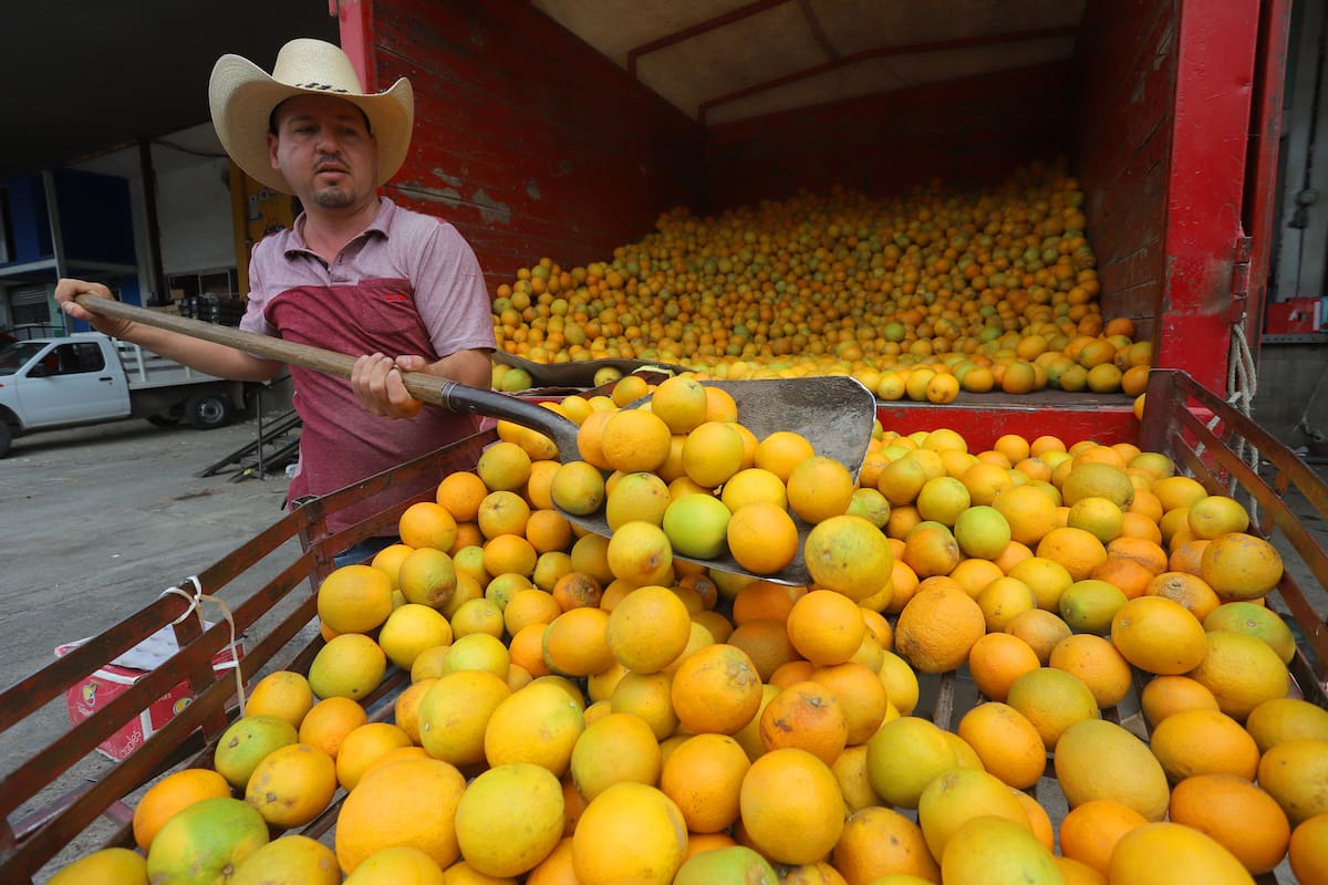 El calor en Sonora empieza a pegar al bolsillo: suben de precio verduras y frutas de consumo diario