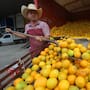 El calor en Sonora empieza a pegar al bolsillo: suben de precio verduras y frutas de consumo diario
