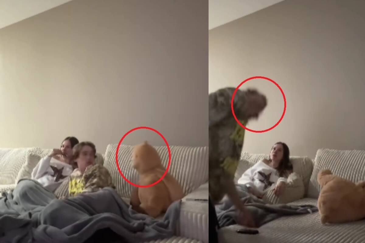 Joven le juega una broma a su novio haciéndole creer que su oso de peluche se movió solo
