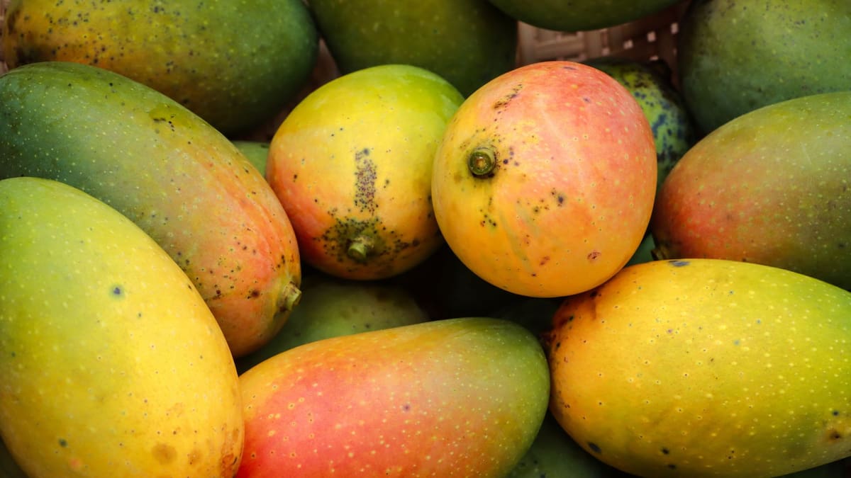 Los errores más comunes al elegir mangos (y cómo evitarlos), según Profeco