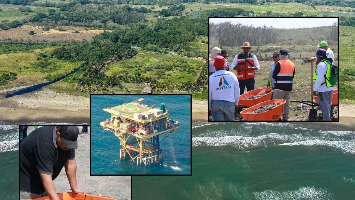 Tras contaminar kilómetros de playas en Veracruz y Tabasco, autoridades dan por contenido el derrame de hidrocarburo en el Golfo; ASEA investiga a empresas para determinar responsabilidades