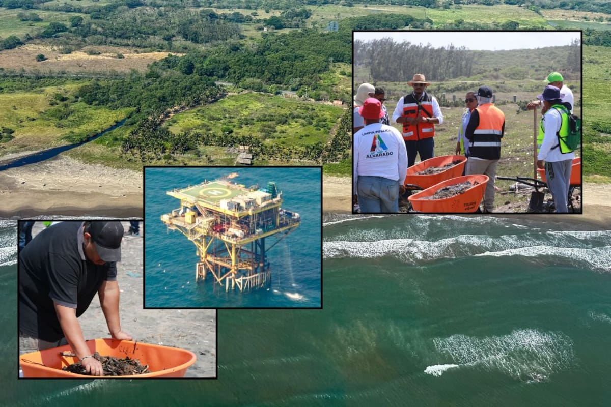 Tras contaminar kilómetros de playas en Veracruz y Tabasco, autoridades dan por contenido el derrame de hidrocarburo en el Golfo; ASEA investiga a empresas para determinar responsabilidades