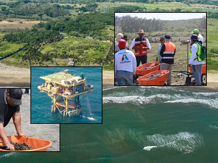 Tras contaminar kilómetros de playas en Veracruz y Tabasco, autoridades dan por contenido el derrame de hidrocarburo en el Golfo; ASEA investiga a empresas para determinar responsabilidades