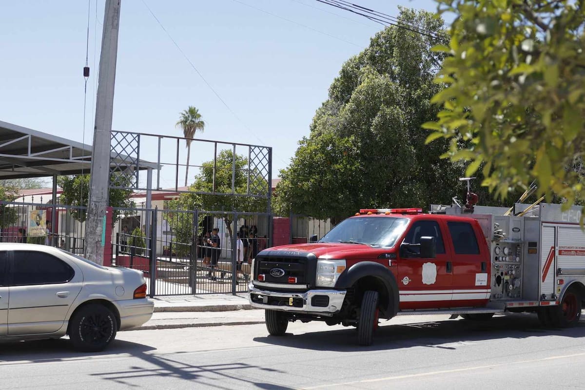 Atienden Bomberos reporte de enjambre de abejas en primaria de Hermosillo