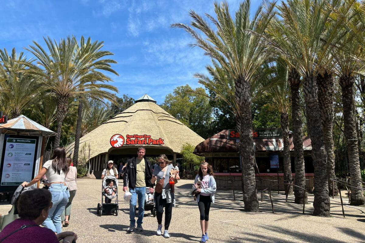 Un Safari en San Diego