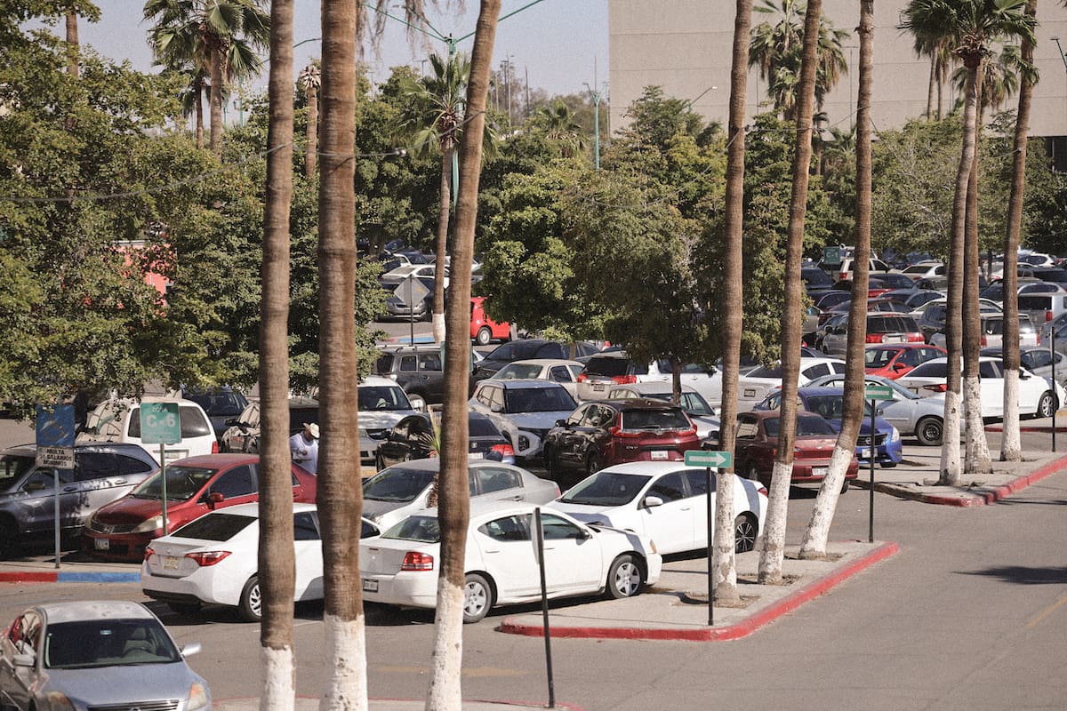 Más del 60% de áreas verdes de Mexicali no logran mitigar la contaminación