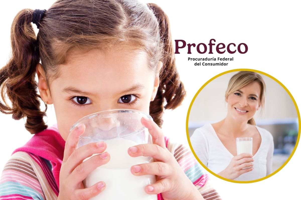 Leche entera, light o deslactosada: Profeco explica cuál elegir