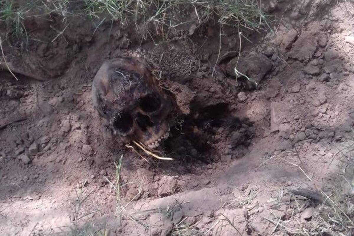 Localizaron restos de personas en fosas clandestinas en Nogales