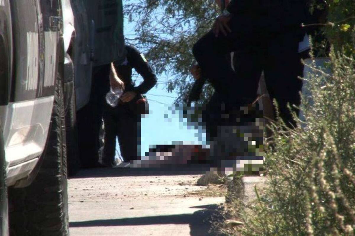 Encuentran cuerpos de 5 hombres en Tocumbo, Michoacán