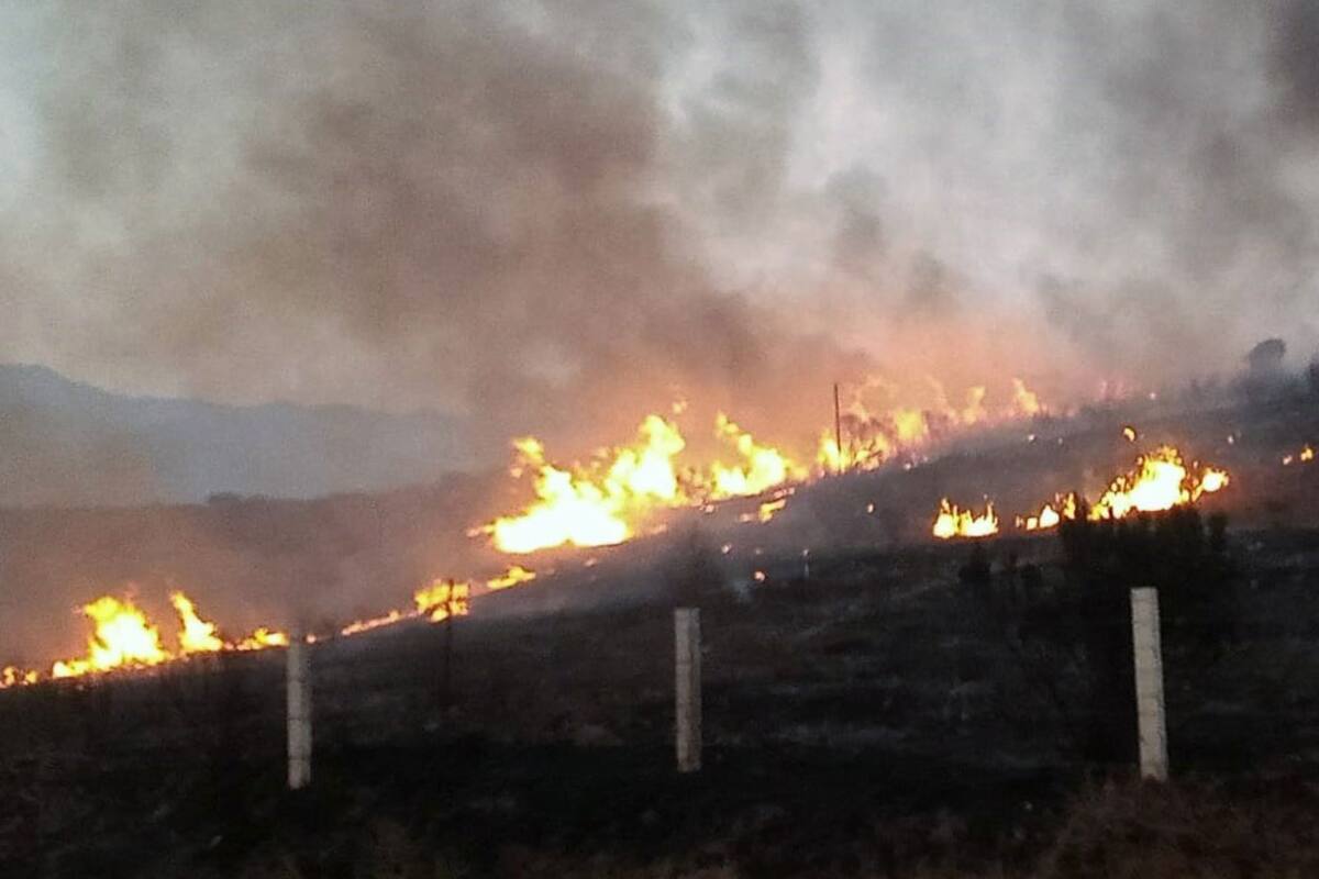 Sin afectaciones agrícolas en incendio forestal en Santo Tomás