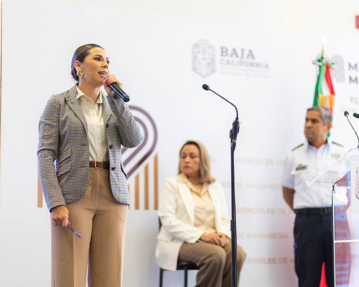 Foto: cortesía