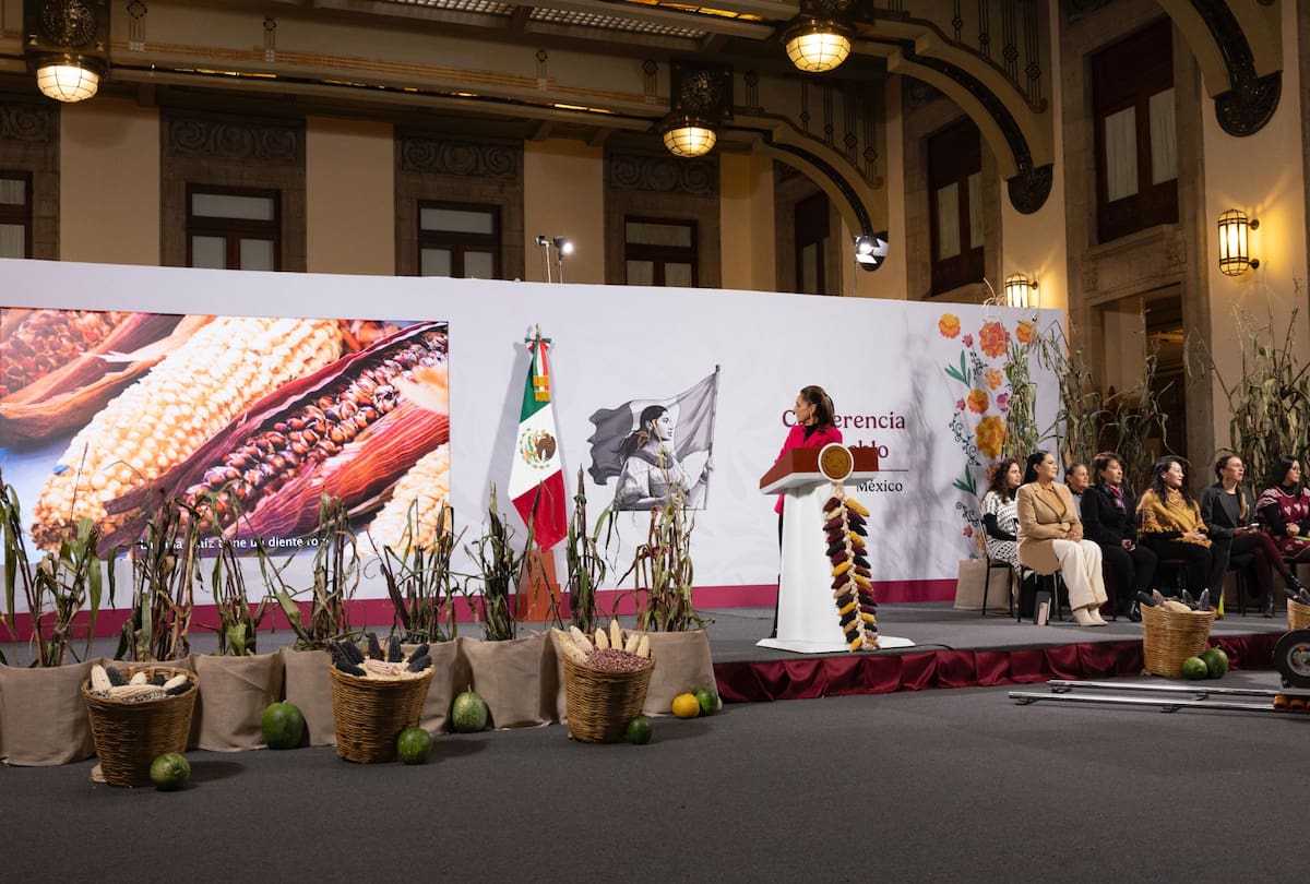 Gobierno de Sheinbaum anuncia el Plan del Maíz Nativo y revela en qué estados operará primero. | Crédito: Presidencia