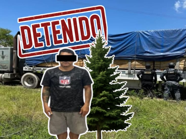 Cae en flagrancia transportista con más de 3,000 tablas de pino sin permiso: lo acusan de ecocidio
