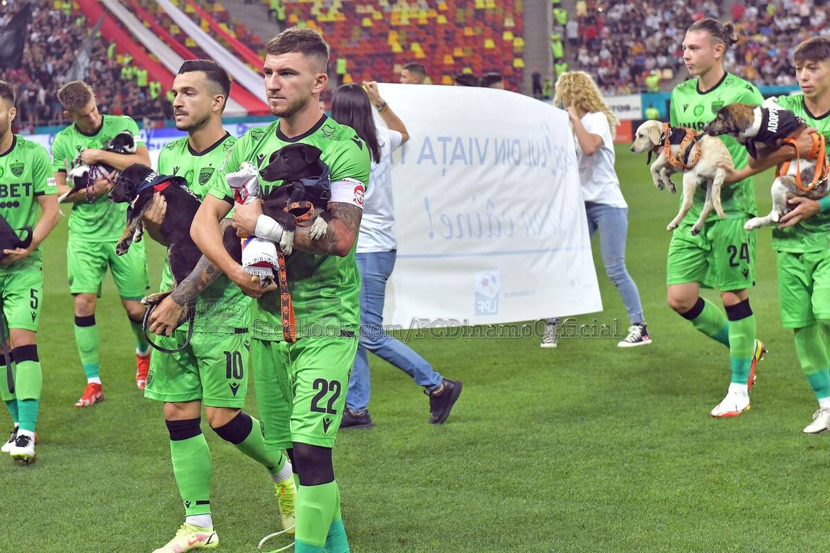 Equipo de futbol de Rumanía entra a la cancha con perritos para buscarles hogar