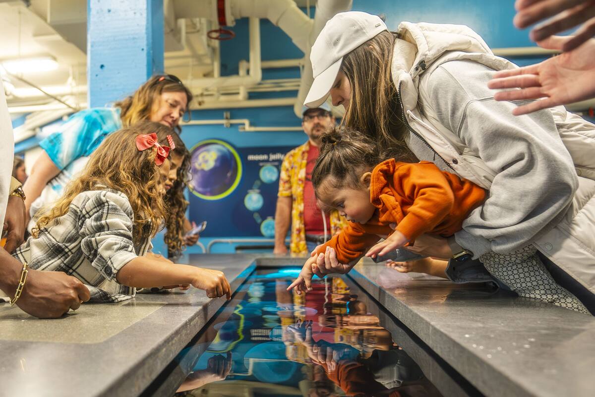 Sea World San Diego abre sus puertas más allá del parque