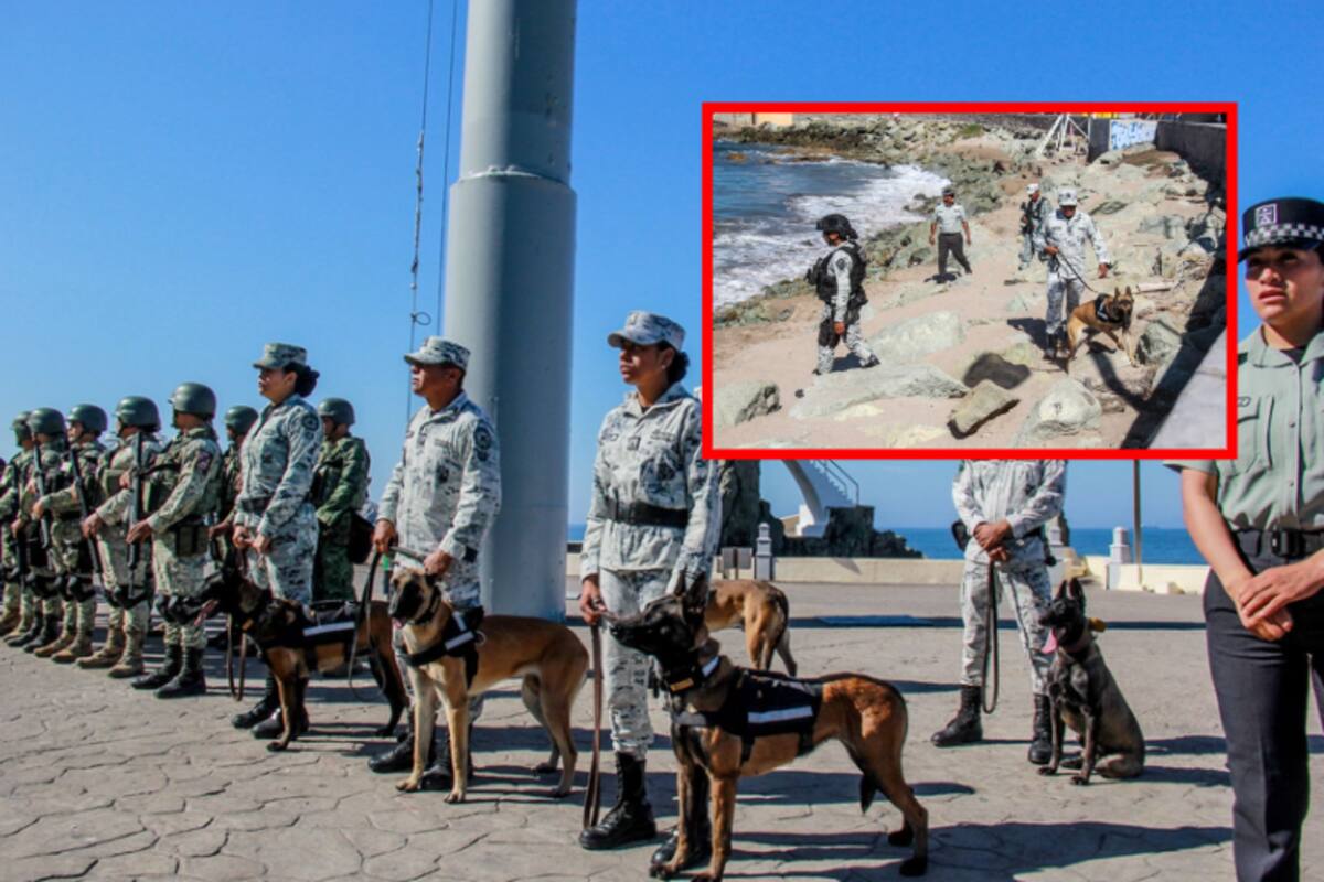 Refuerzan seguridad en el Carnaval de Mazatlán 2025 con más de 3 mil elementos