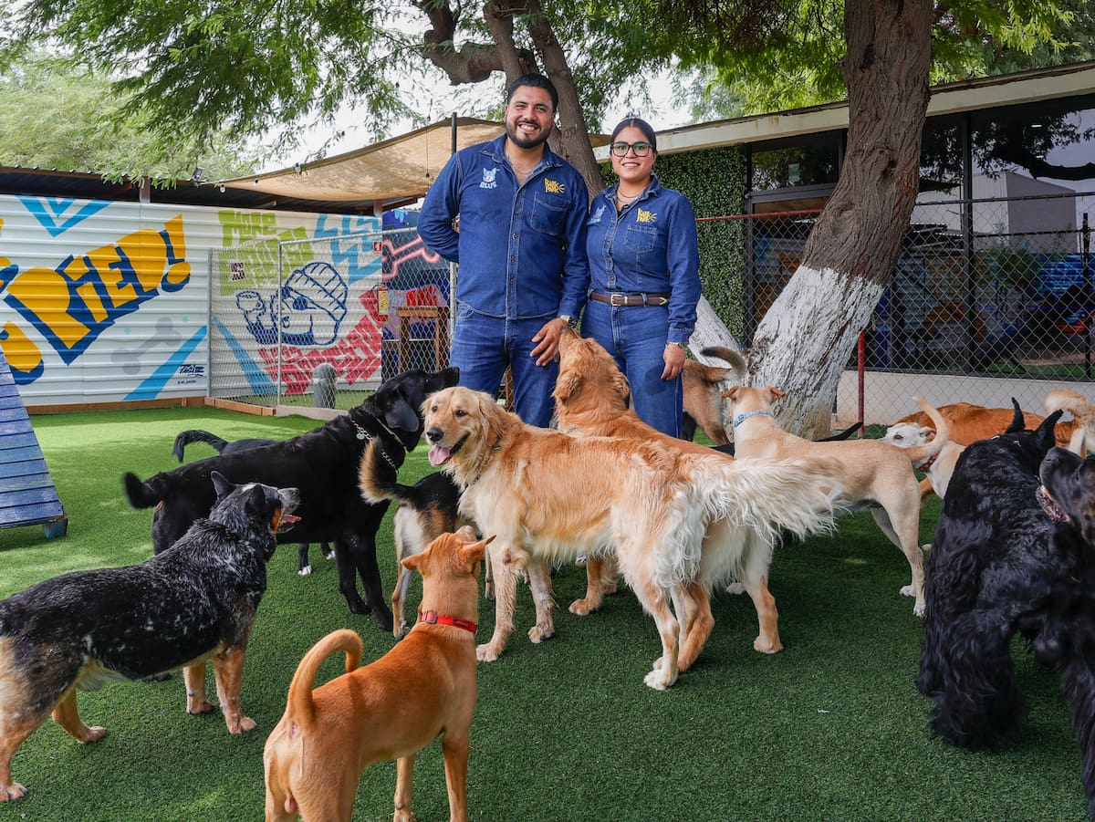 Bark Park ofrece un espacio para la convivencia entre personas y perros, con áreas de recreación, adiestramiento, guardería y hospedaje para mascotas.│Foto: Juan J. Morales